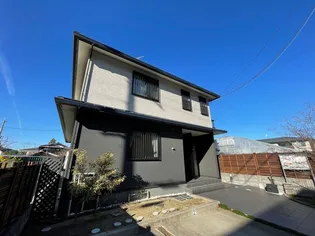 花水木IIの画像