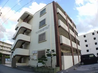 サンフラワー丸市IVの画像