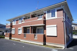 プラシードフィル IIの画像