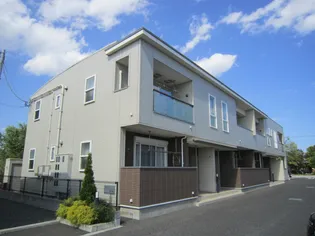 エバーグリーンの画像