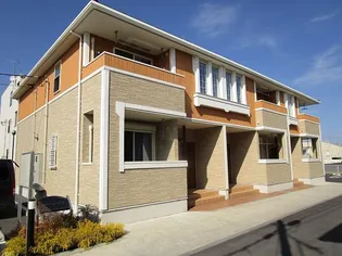 サニーベルの画像