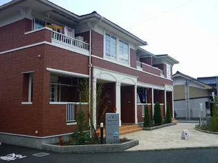 ベニッシモAの画像