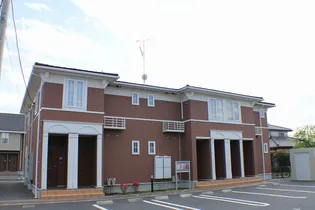 プラシードフィル IIの画像