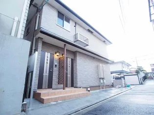 クリーム ローズの画像