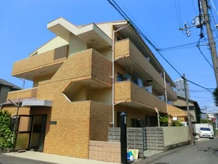 ブルガー光の画像