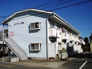 エルディム斉藤の画像