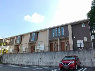 グリーン アモールの画像