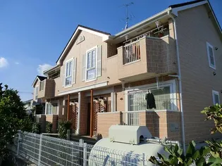 クレメントBの画像