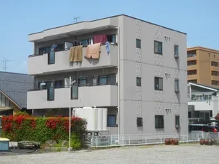 サンメゾンの画像