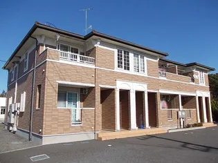 プルメリアCの画像