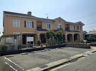 FIORE PLACIDO蘭の画像