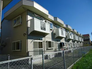 エルディムナツメDの画像