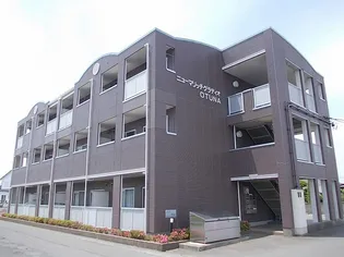 グラディオOTUNAの画像