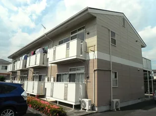 ウォールナットの画像