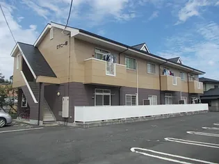 ロマニー華の画像