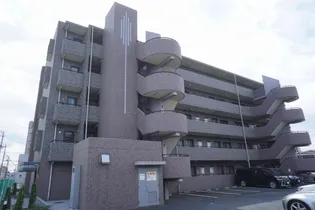 エクセレント ティアの画像