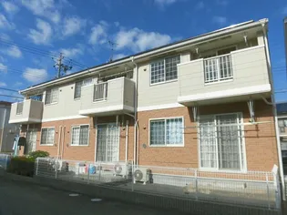 ドルフ サンフラワー Ⅲの画像