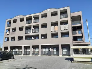 スプランドールSマンションの画像