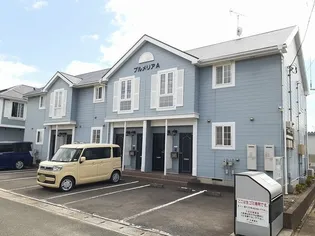 プルメリアAの画像