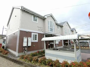 ホワイトリリーの画像