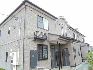 プラシードBの画像