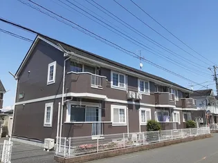 ソルフィー Dの画像