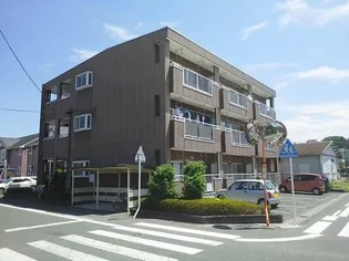 メゾンノウブルの画像