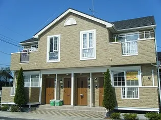 プリムローズAの画像