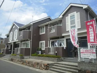 リーバイバーの画像