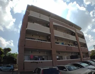 ラピス ヨヘンの画像