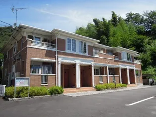 プリムローズの画像