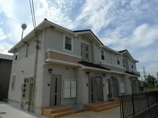 プリムローズの画像