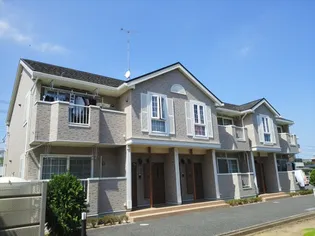 カルム フランの画像