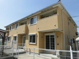 アンベル プリムローズの画像