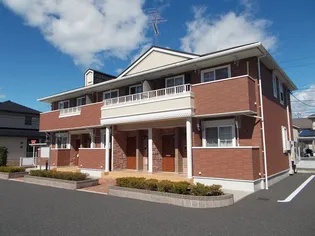 ヴェストBの画像