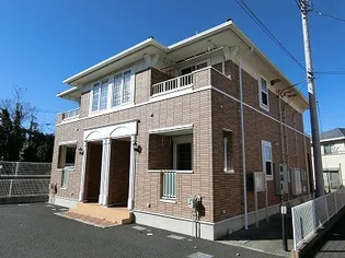 サニー KIVの画像