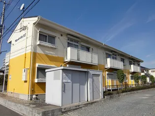 マロンガーデンT Kの画像