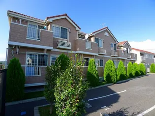 プリムローズBの画像