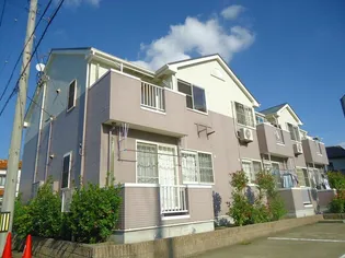 フレッシュ プラムの画像