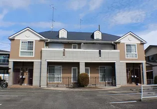 サンライトの画像