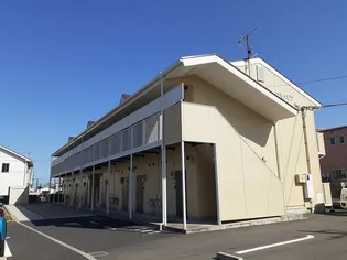 プルメリアの画像