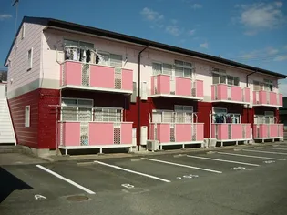 ニューシティリトルパインの画像