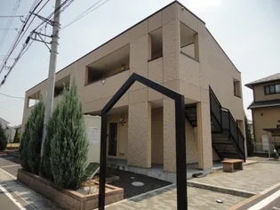 サンスプリングの画像