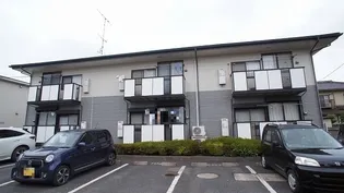 メニーセトルの画像