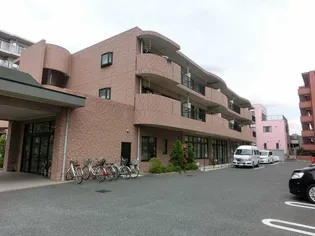 カンタベリー ベルの画像