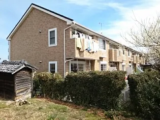 スイートベリーの画像