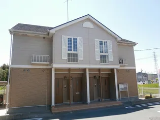 エバーグリーンの画像