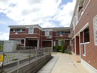 オブコニカの画像