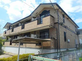 フェイバー レイの画像