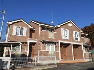 サフラワーの画像